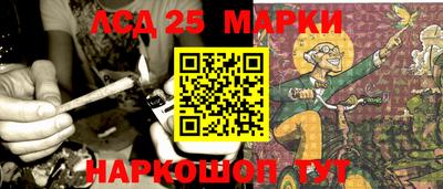 стаф Шелехов