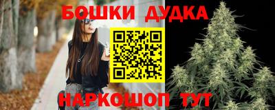 стаф Шелехов