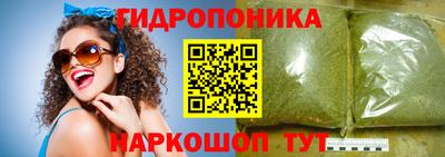 стаф Шелехов