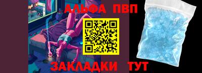 стаф Шелехов