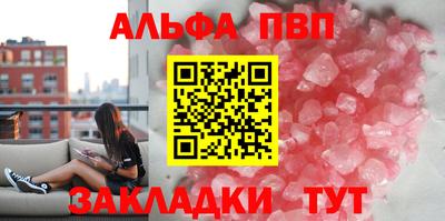 стаф Шелехов