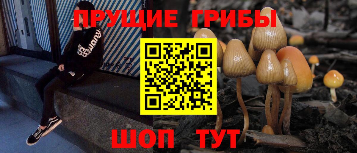 Галлюциногенные грибы мухоморы Мытищи